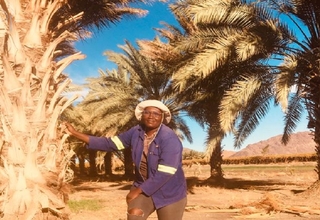 Alicia in her field standing next to one of her date palms.