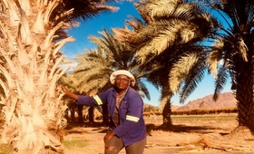 Alicia in her field standing next to one of her date palms.
