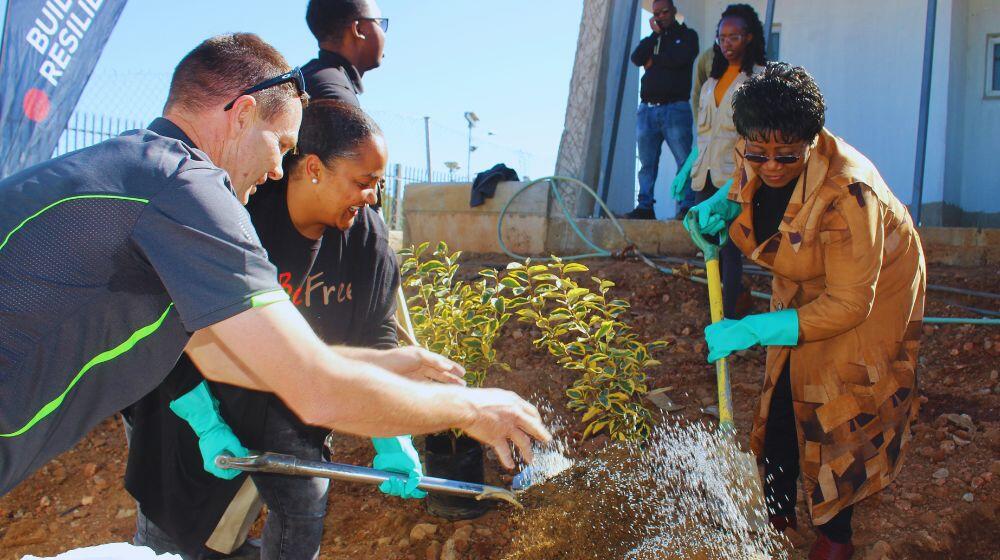 Just as trees symbolize strength, stability, and the ability to adapt and endure, the #BeFree Youth Centre aspires to create a s