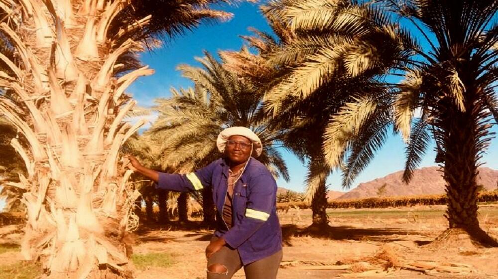 Alicia in her field standing next to one of her date palms.