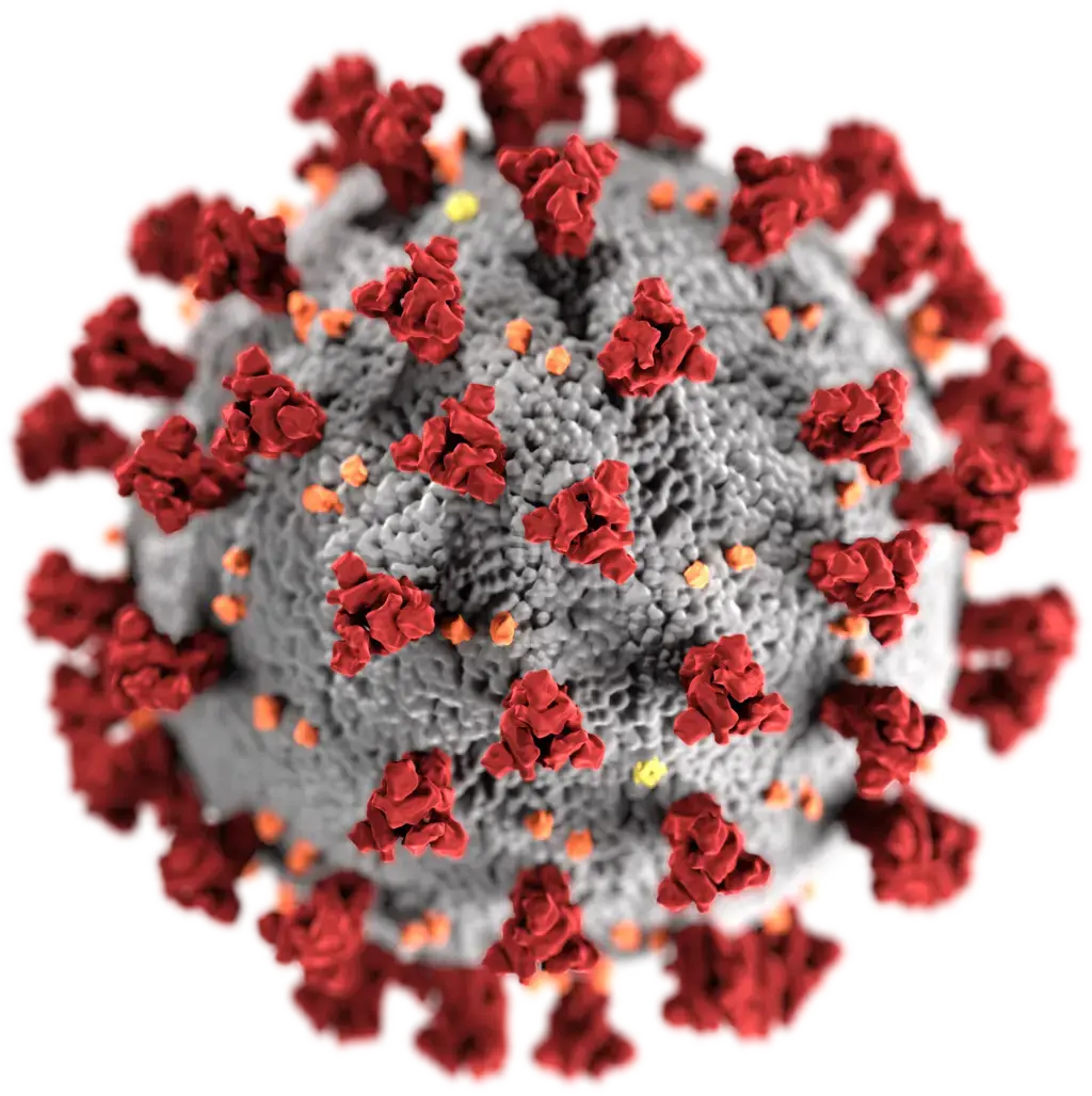 UNFPA statement on novel coronavirus (COVID-19) and pregnancy