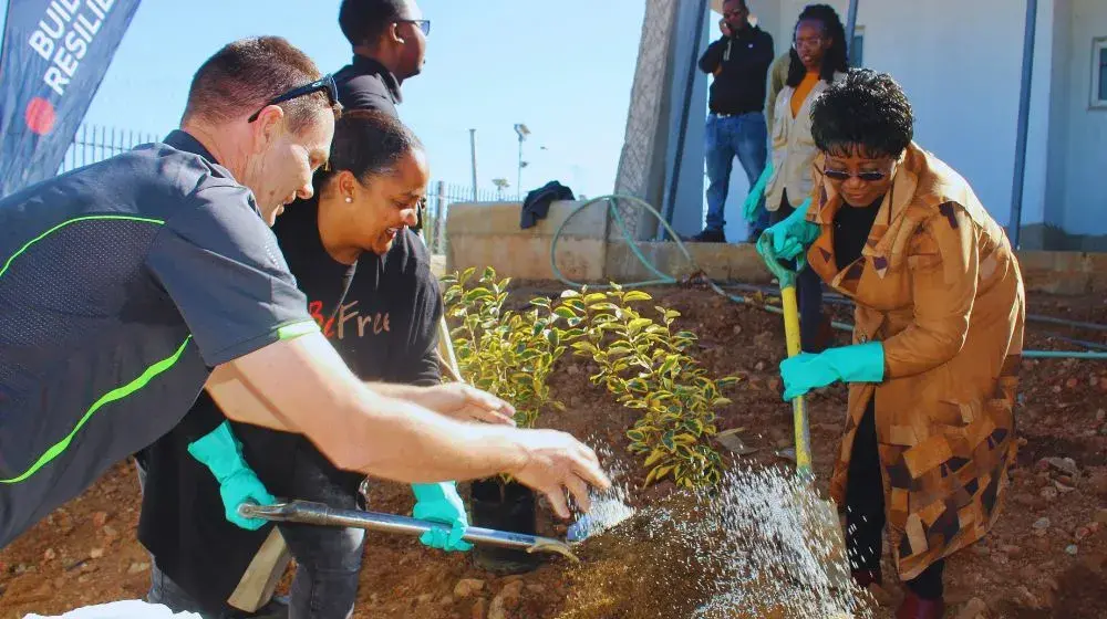 Planting trees of hope