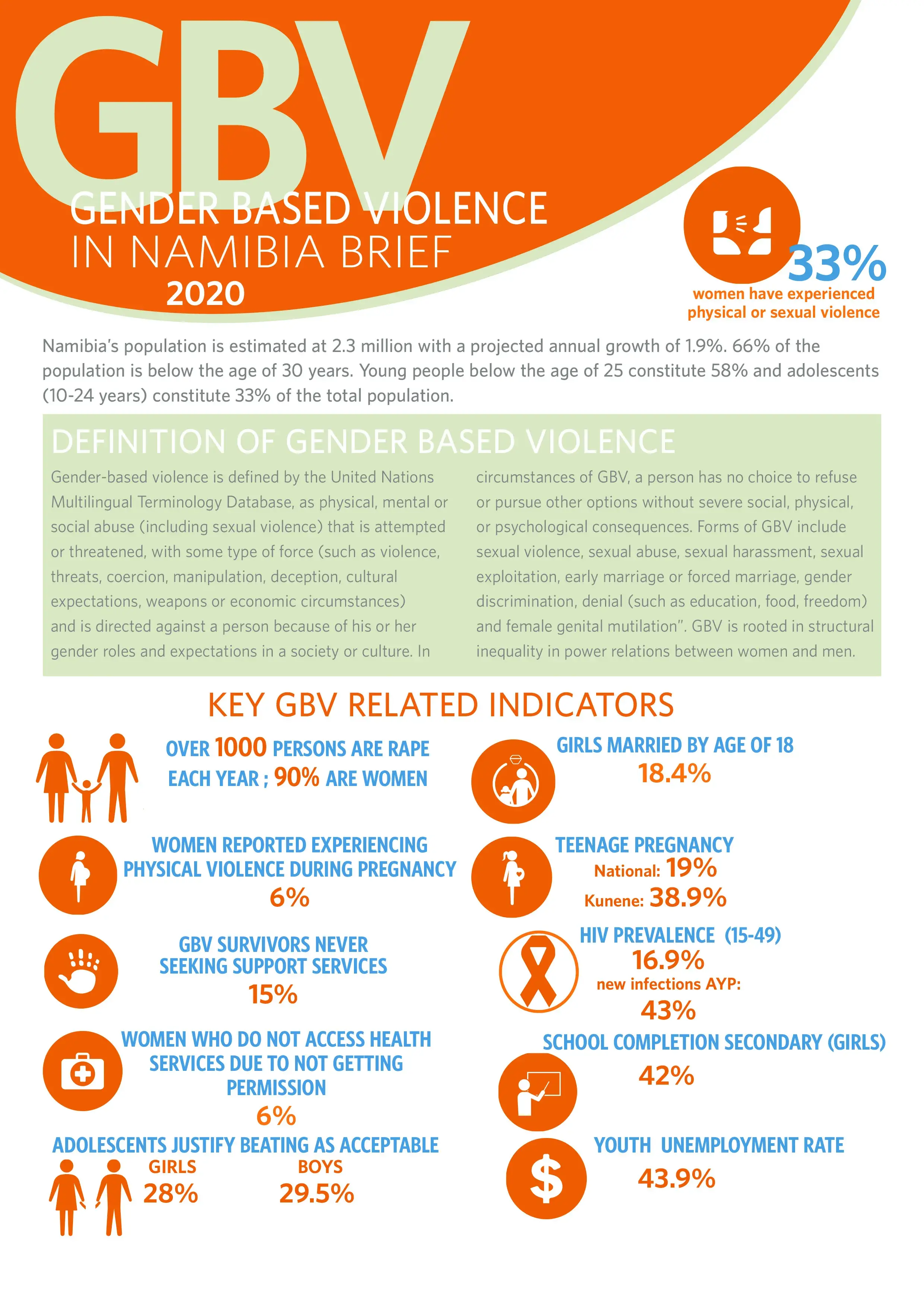 Gender Based Violence In Namibia Brief